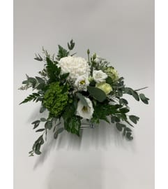 Wonderful whites. An arrangement by DMP Flowers and Gifts. Wonderful whites. An arrangement by DMP Flowers and Gifts.