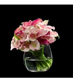 Pink Calla Simplicity. An arrangement by Brickell Exclusive Blooms.