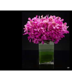 Pink Mokara Luxe. An arrangement by Brickell Exclusive Blooms.