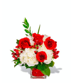 Red Divine. An arrangement by Flower Lane.