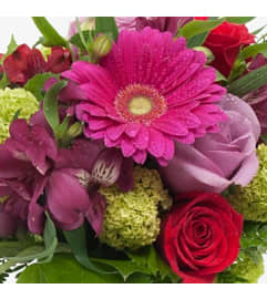 CYNDI'S DAILY SPECIAL. An arrangement by Floral Insight.