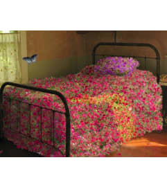 AirBnB = $20 extra guest Fee per night. An arrangement by Flowers by Priscilla.