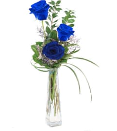 SINGLE OR THREE BLUE ROSES. An arrangement by Tim's Florist and Garden. SINGLE OR THREE BLUE ROSES. An arrangement by Tim's Florist and Garden.