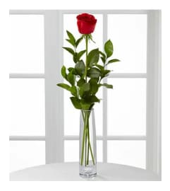 1 Rose Arranged in a Bud Vase. An arrangement by Sueppel's Flowers.