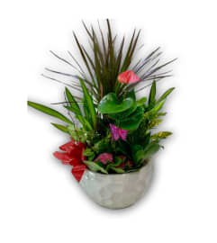 Butterflies Galore Planter. An arrangement by Shalimar Flower Shop.