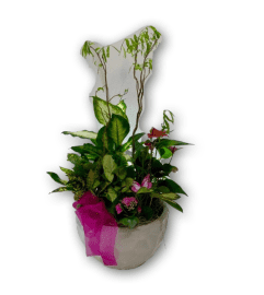 Beautiful Pink and Green Planter. An arrangement by Shalimar Flower Shop.