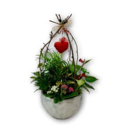 'You Have my Heart' Planter. An arrangement by Shalimar Flower Shop.