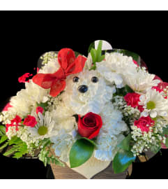 Dog lover. An arrangement by Floreria Mexico.