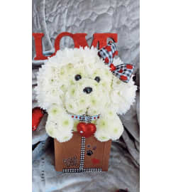 Cute Buddies 1. An arrangement by Sweet Blossoms.