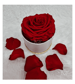Single Preserved Round Box. An arrangement by Brickell Exclusive Blooms.
