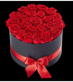 24 Red Preserved Roses in Black Box. An arrangement by Brickell Exclusive Blooms.