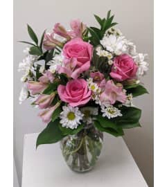 Blushing Daisy Delight. An arrangement by Flower Trends Florists.
