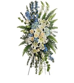 spray T284. An arrangement by Geni's Florist and Gifts.