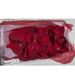 FRESH RED ROSE PETALS IN BOX. An arrangement by Angela's Floral Gallery.