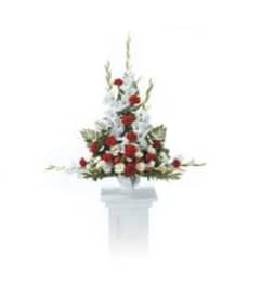 STRUCTURED DESIGN IN RED AND WHITE. An arrangement by The Flower Hut.