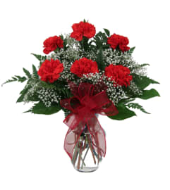 classic traditional Red carnation in vase. An arrangement by Shalimar Flower Shop.