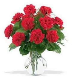 classic traditional Red carnation in vase. An arrangement by Shalimar Flower Shop.
