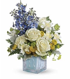 Teleflora's Welcome Little One - Baby Boy. An arrangement by Sueppel's Flowers. Teleflora's Welcome Little One - Baby Boy. An arrangement by Sueppel's Flowers.