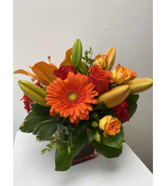Summer Garden cube. A glass cube of mixed orange colored sp. An arrangement by Flower Trends Florists.
