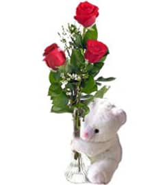 Be My Friend Red Rose. An arrangement by Shalimar Flower Shop.