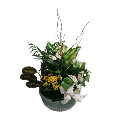 Ceramic Garden Dish. An arrangement by The Flower Hut.