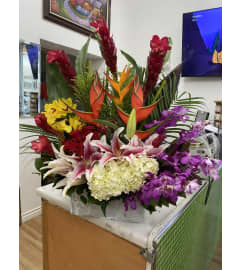 Tropical Paradises. An arrangement by Flower World and Gifts.