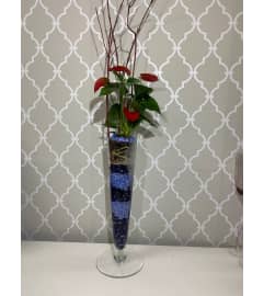Anthuriums in Premium Polish Vase. An arrangement by Shalimar Flower Shop.
