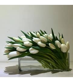 Manhattan Tulipan Wave. An arrangement by Brickell Exclusive Blooms.