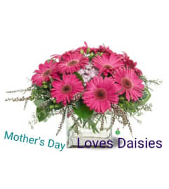 LOVES DAISIES. An arrangement by Santa Fe Florals and Events.