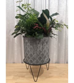 Blumz Large Planter. An arrangement by Blumz Floral Boutique.