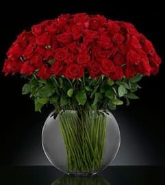 Extravaganza Red Roses. An arrangement by Brickell Exclusive Blooms.