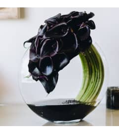 Midnight Modern. An arrangement by Brickell Exclusive Blooms.