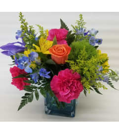 Bright Blue Cheer. An arrangement by Clemmons Florist Inc..