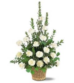 Simply white Tribute. An arrangement by Shalimar Flower Shop.