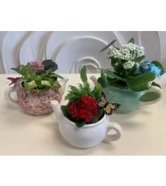 Teapot Planter. An arrangement by Marianna's Flower Island.