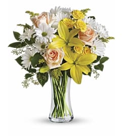 TF Daisies and Sunbeams Vase Arrangement. An arrangement by Nicol Florist.