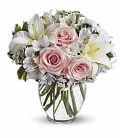 TF Arrive in Style Vase Arrangement. An arrangement by Nicol Florist.