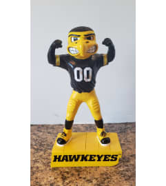 Herky. An arrangement by Zaisers Florist and Greenhouse.