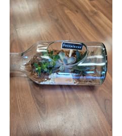Succulent in bottle. An arrangement by Flowers by Veronika.