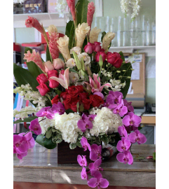 Tropical Breezy Box. An arrangement by Flower World and Gifts.