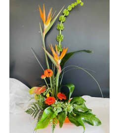 Tropical Glory. An arrangement by My Mother's Bloomers.