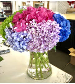 Hydrangea in Paradise. An arrangement by Toluca Lake Florist.