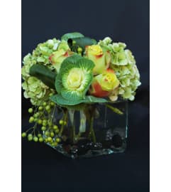 Zazu. An arrangement by Fresh Cut Bouquets.