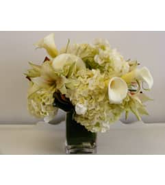 Snowy bird. An arrangement by Fresh Cut Bouquets.