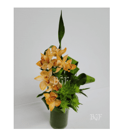 Paradise Orchid. An arrangement by Brickell Exclusive Blooms.