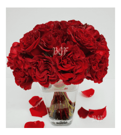 Red Roses with Modern Rock. An arrangement by Brickell Exclusive Blooms.