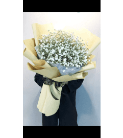 Thousands Stars. An arrangement by Win's Flowers.