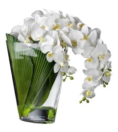 Modern Tropic Orchids. An arrangement by Aventura Blooming Petals.