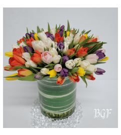 Grand Elegance Tulips. An arrangement by Brickell Exclusive Blooms.