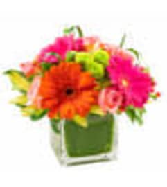 Heartfelt Hurrah. An arrangement by Tallevast Florist.